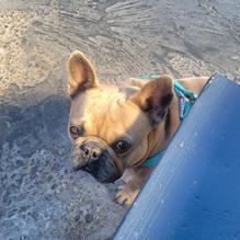 Uno Mas Taqueria restaurant view 1