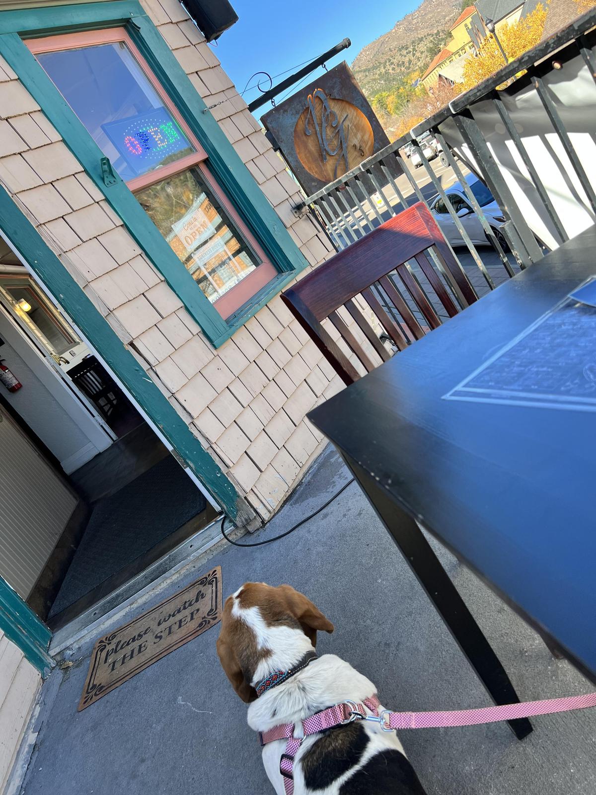 Persephone Grae's Cafe and Juice Bar restaurant view 3