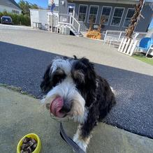 Exit Zero Filling Station restaurant view 1