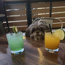 Voodoo Brewing Co. - Pittsburgh Pub restaurant view 3