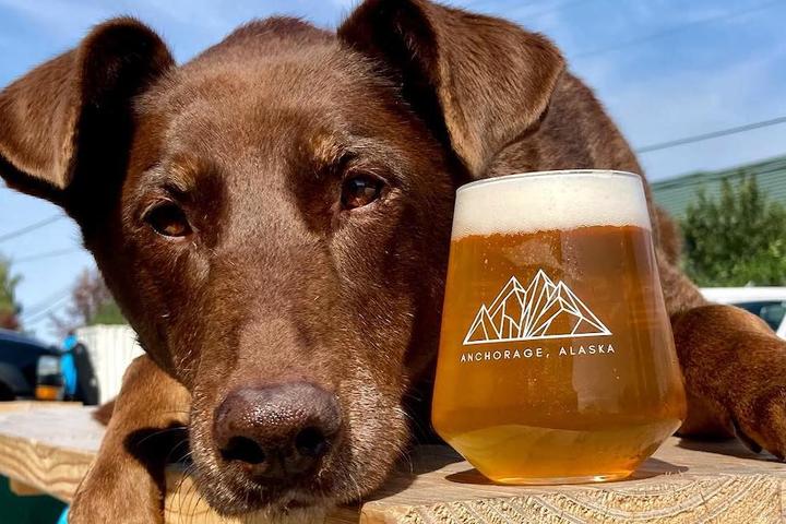 Brewery Dogs Across America