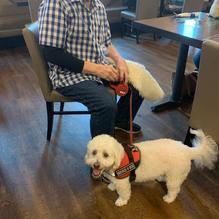 JP's Family Restaurant & Sports Lounge restaurant view 1