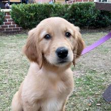 New Realm Brewing restaurant view 1