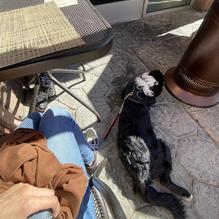 Marston's restaurant view 1