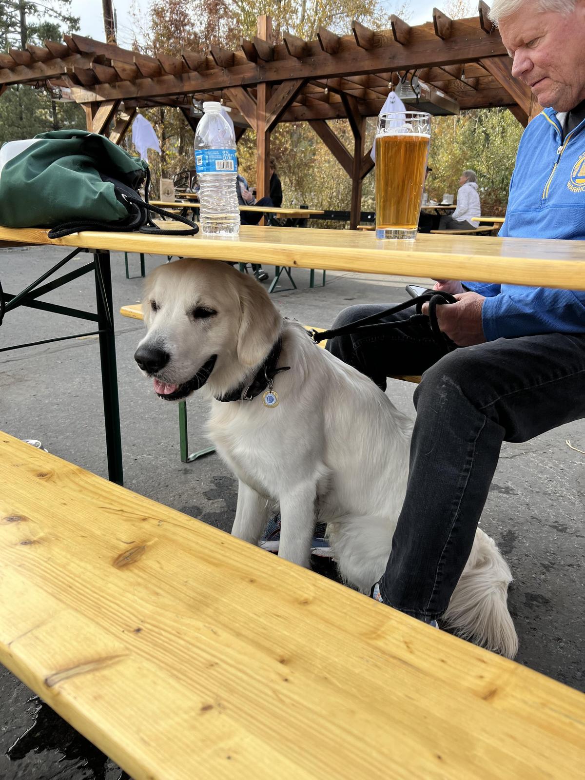 Alibi Ale Works - Truckee Public House restaurant view 1