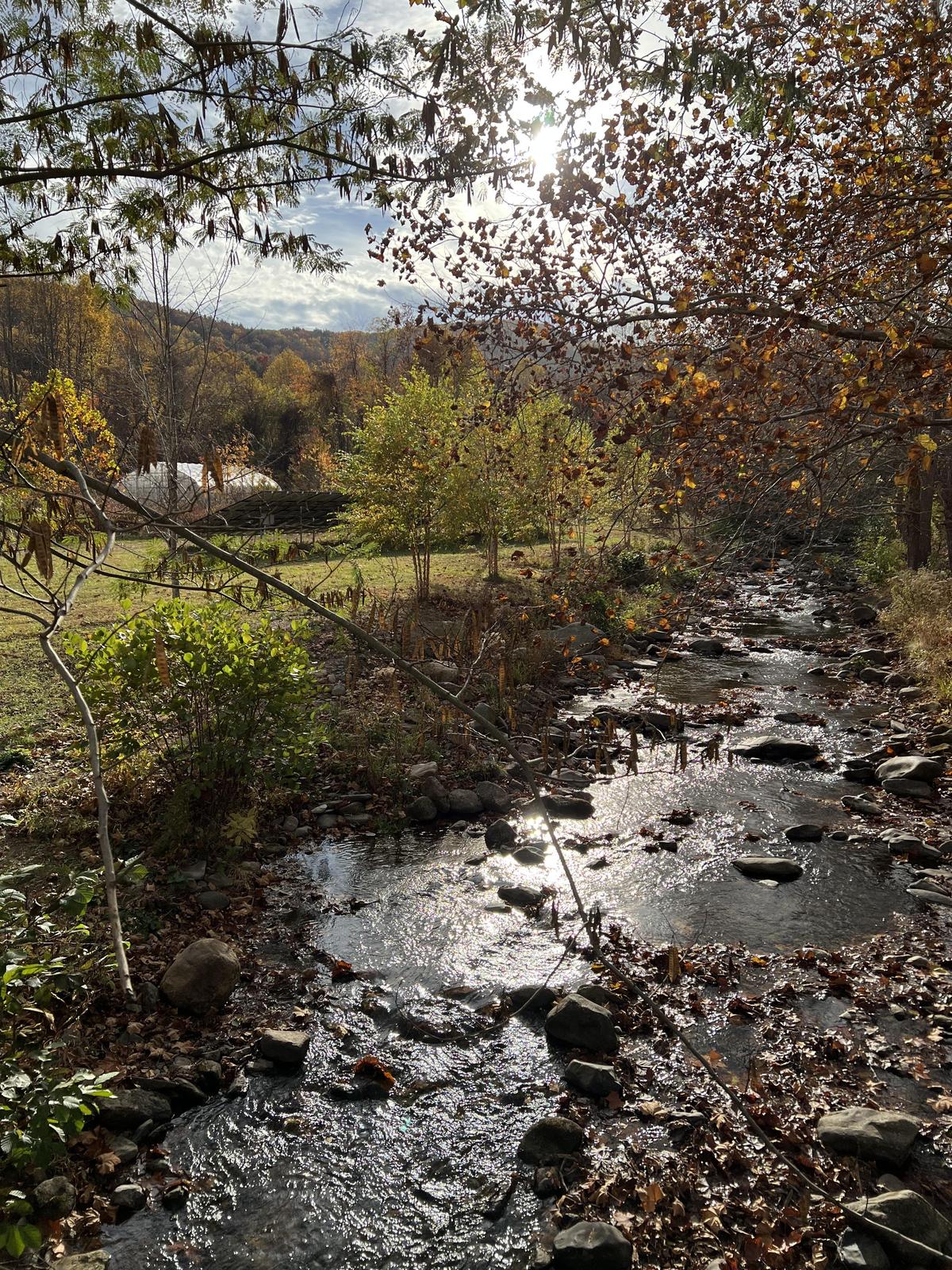 Off the Grid restaurant view 1