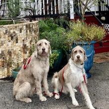 Chelsea Wine Bar restaurant view 1