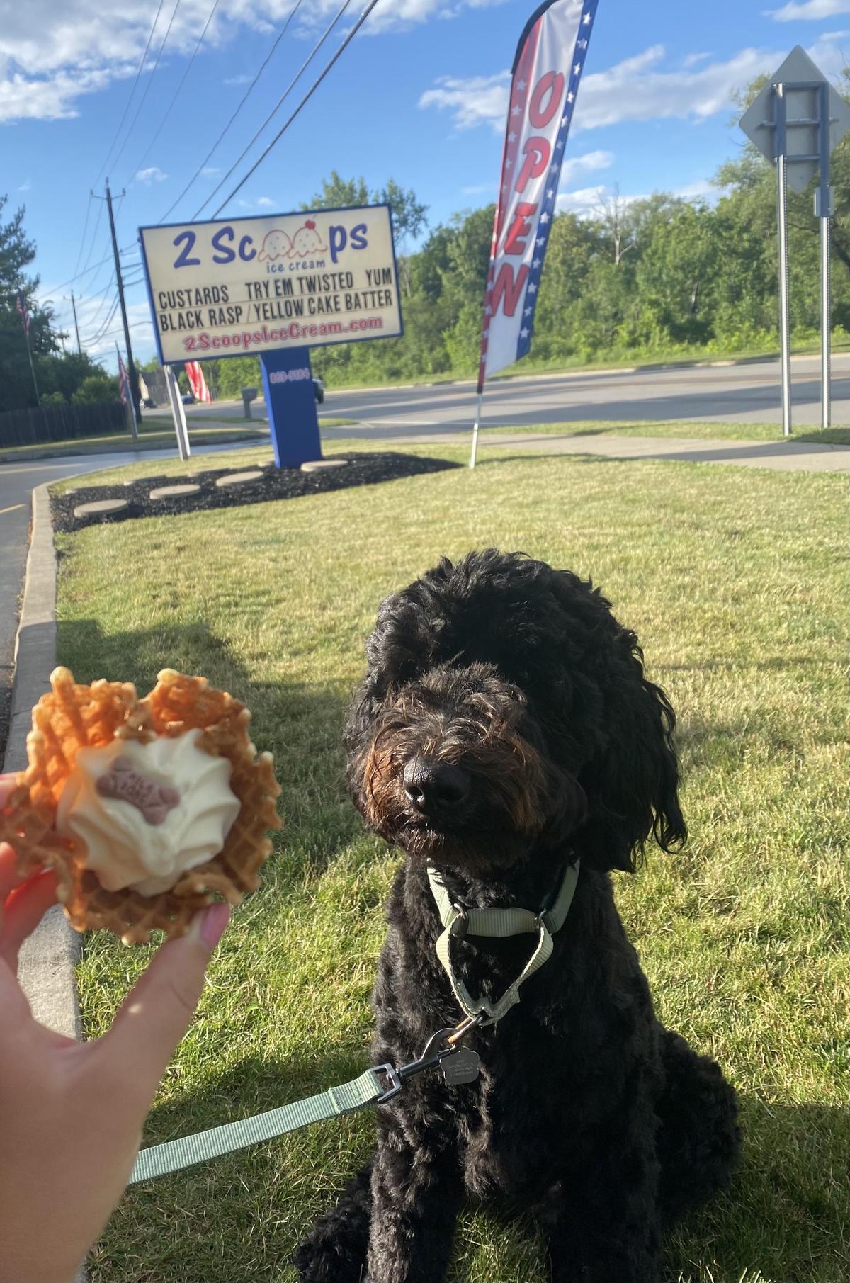 2 Scoops Ice Cream restaurant view 1