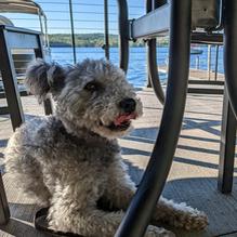 The Lake House Pub and Grille restaurant view 1