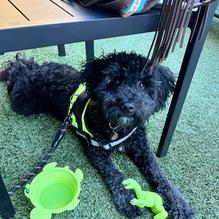 Fort Brewery and Pizza restaurant view 2