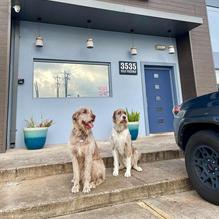 Gator's Bar and Grill restaurant view 1