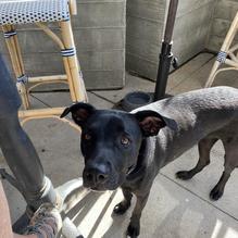 Blue Moon Over Avila restaurant view 2