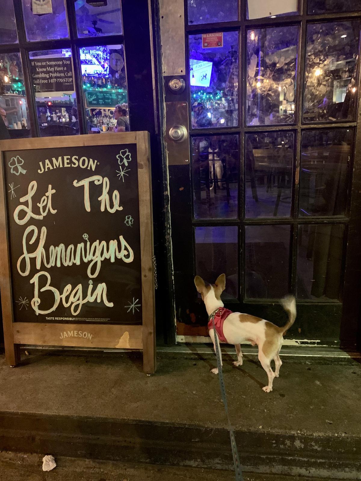 The Holy Ground Irish Pub restaurant view 4