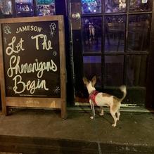 The Holy Ground Irish Pub restaurant view 4
