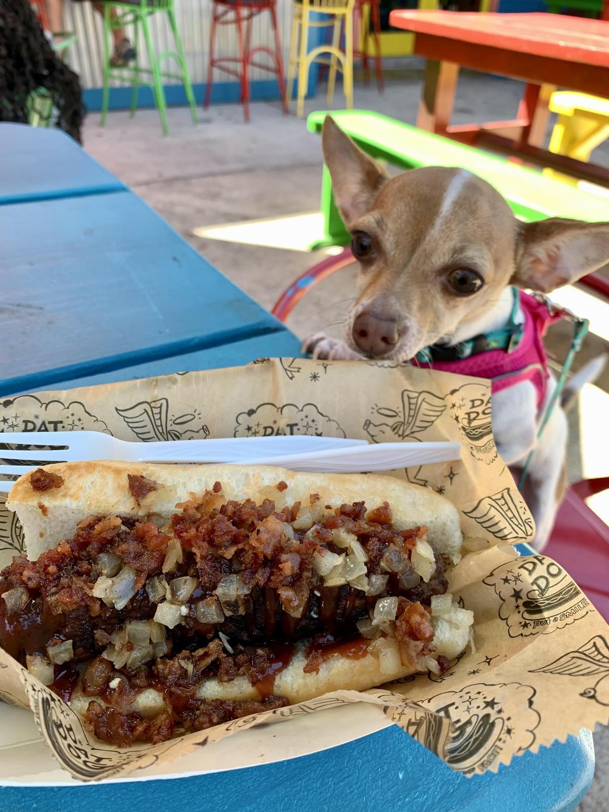 Dat Dog restaurant view 4