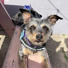 Barrel 17 restaurant view 1