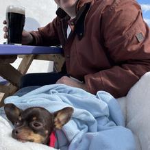 The Beamish House restaurant view 2