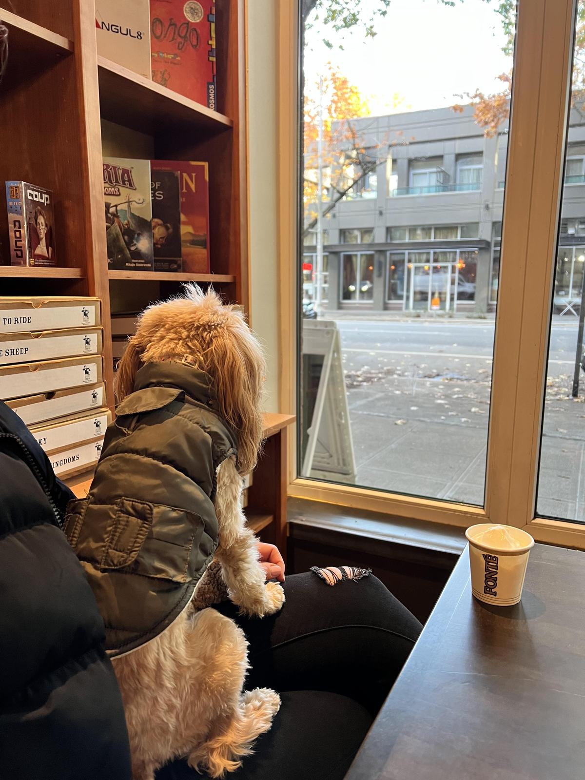 Uptown Espresso & Bakery restaurant view 1