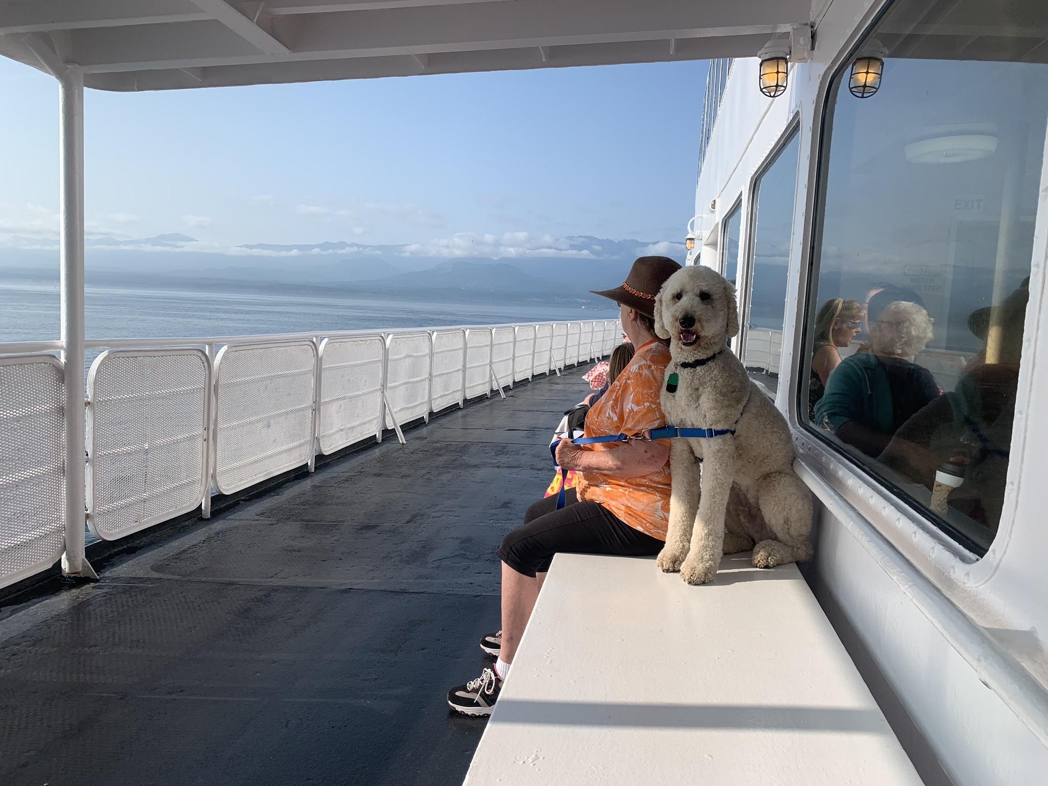 Pet Friendly BC Ferries