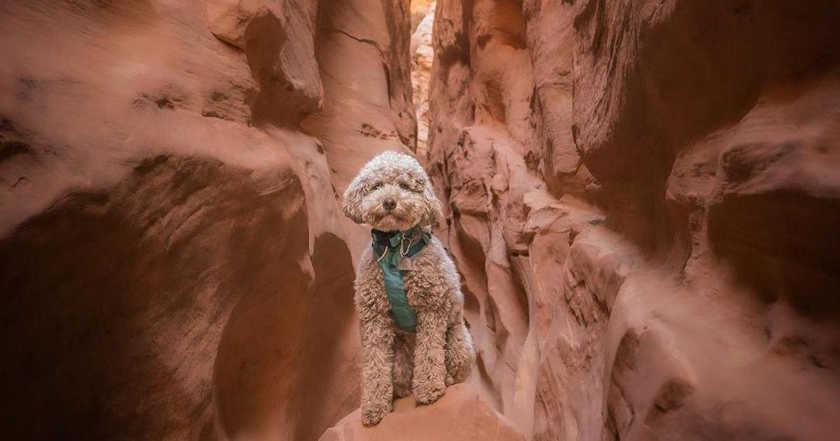 State Parks With Slot Canyons to Explore With Your Dog