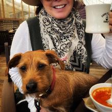 GoodLife Cafe and Bakery restaurant view 2