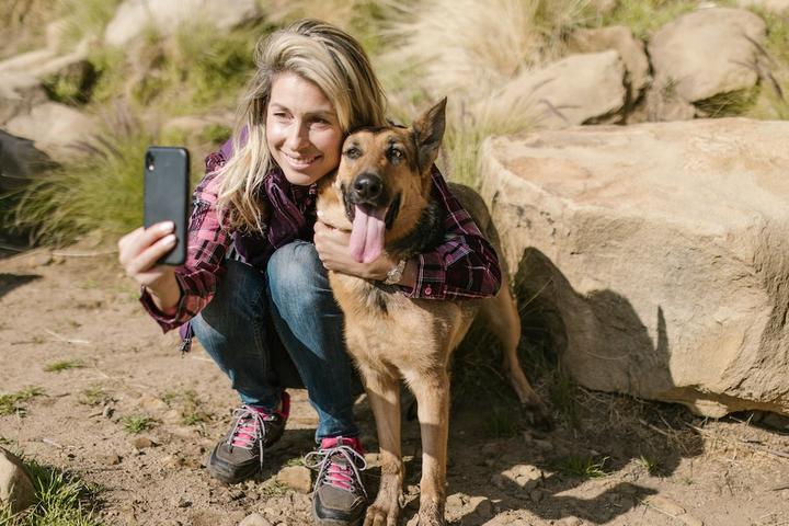 Dog-friendly vacation ideas.