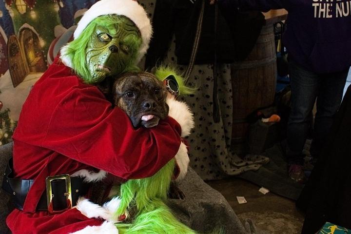 Grinch poses with dog at Nubby Christmas at Hi-Wire Durham event.
