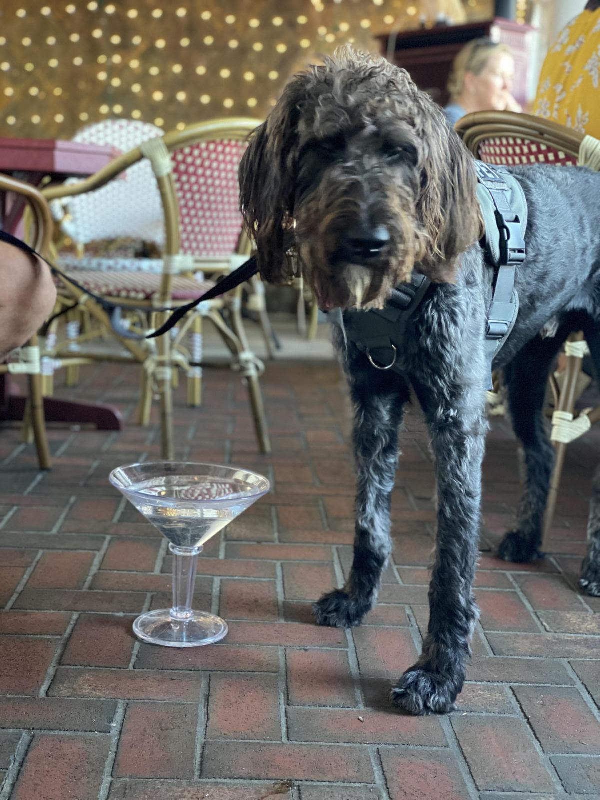 The Tini Martini Bar restaurant view 6