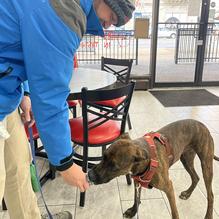 Cafe de Blaire restaurant view 1