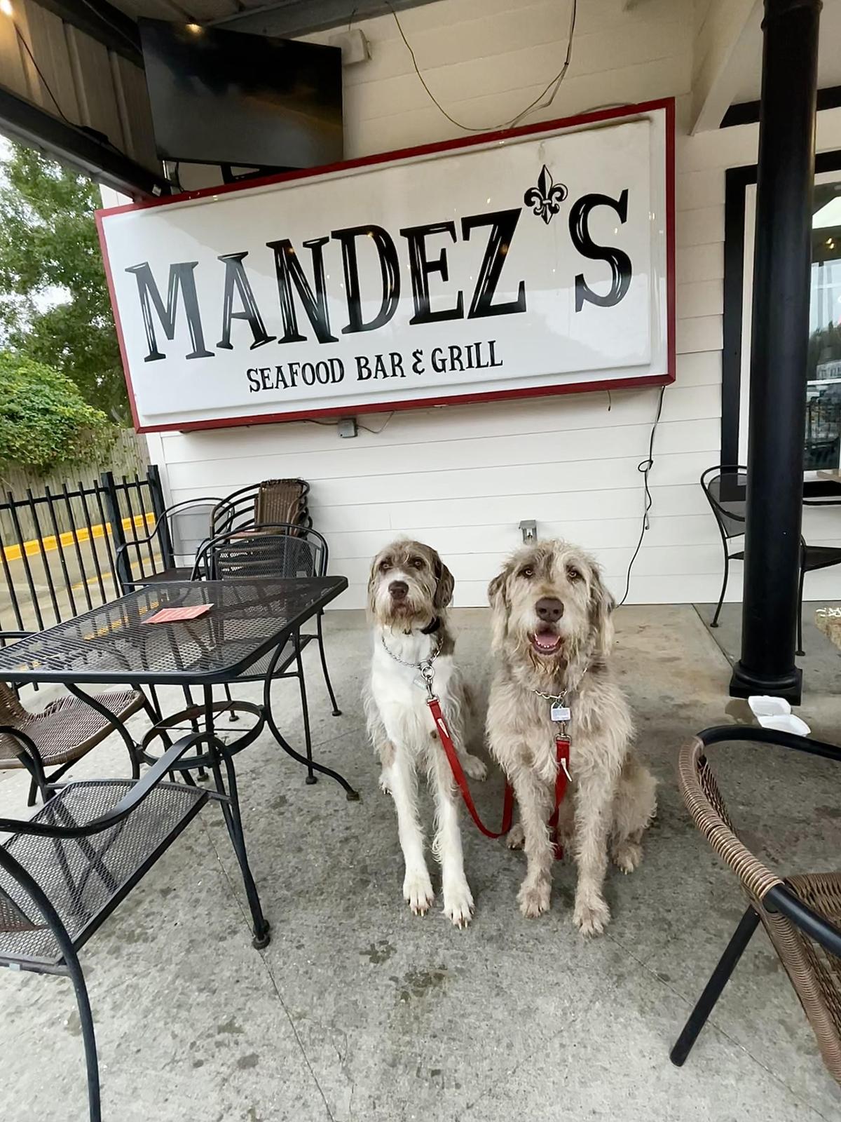 Mandez's Seafood Bar & Grill restaurant view 3