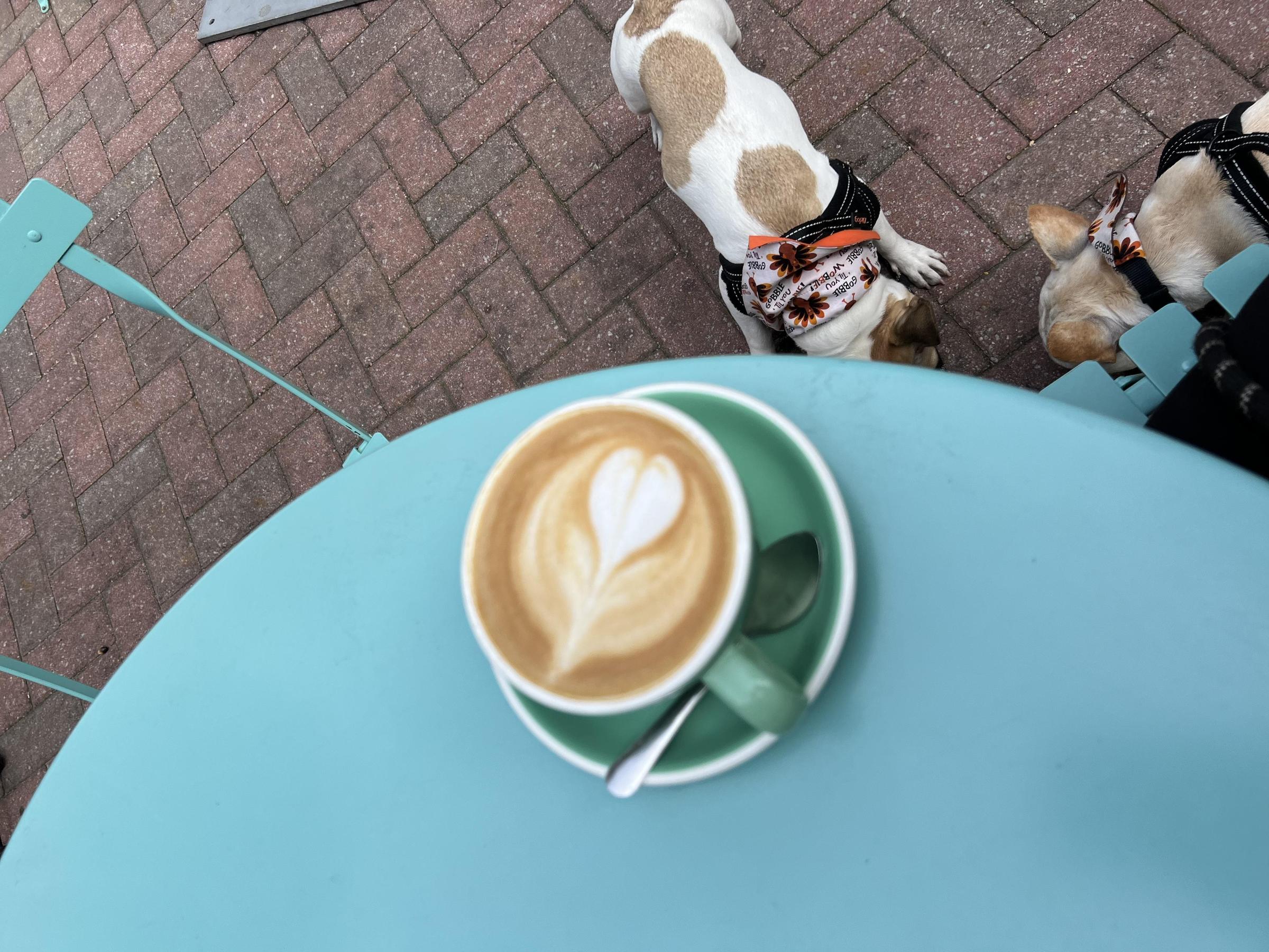 Coffee at Collins Quarter ⋆ BringFido