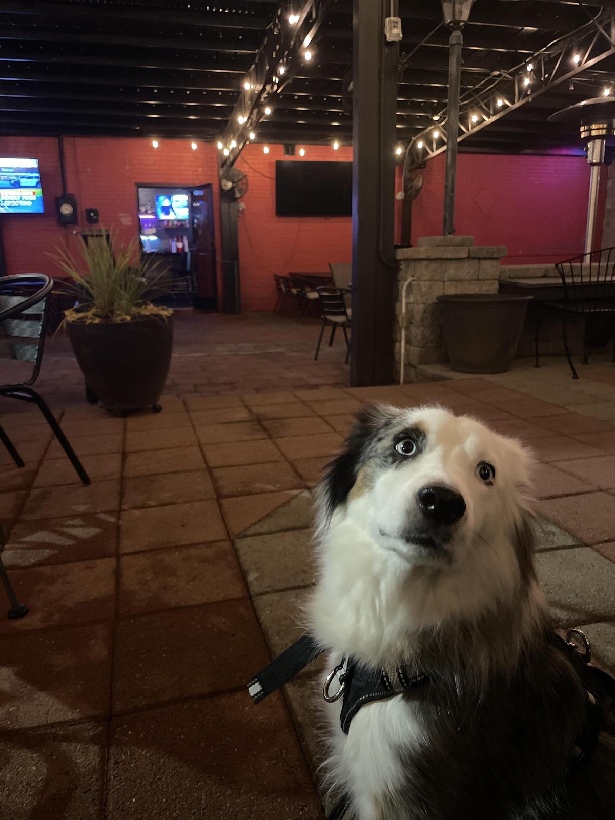 Daddy Billy's Restaurant & Bar restaurant view 1