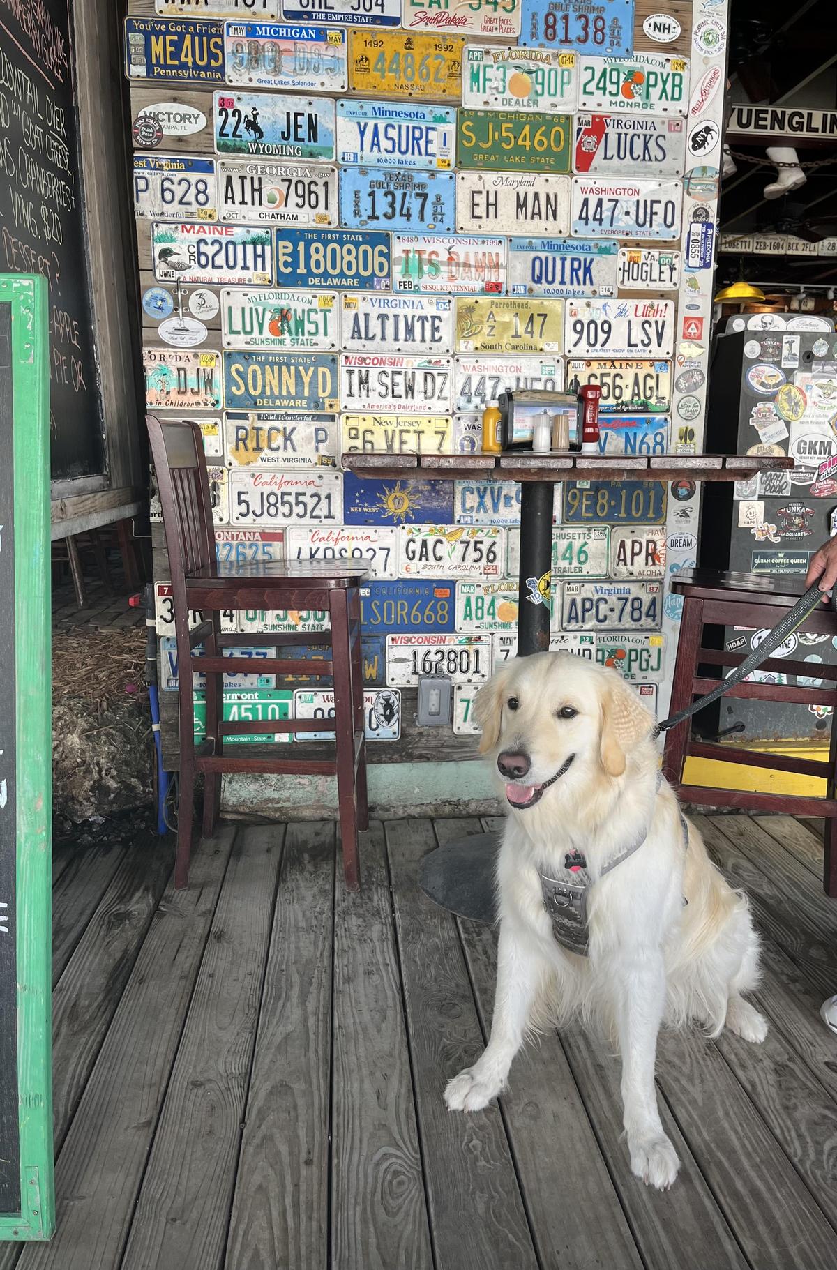 Hogfish Bar & Grill restaurant view 3