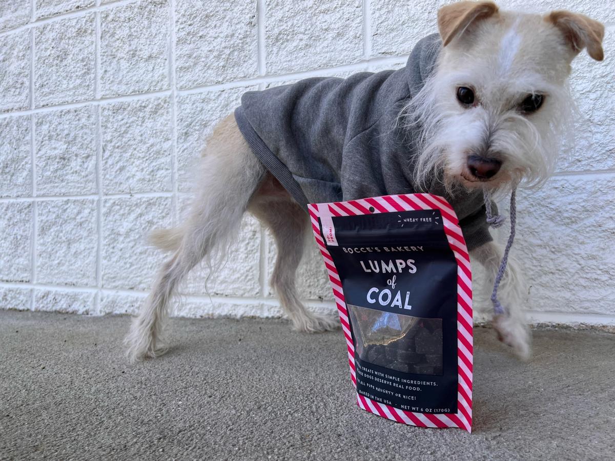 Coal on sale dog treats