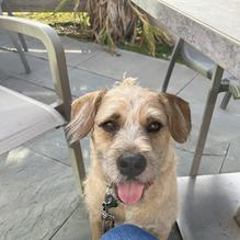 Santiago's Florida Kitchen & Craft Bar restaurant view 1