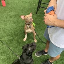 Gratefuel Cafe restaurant view 3