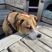 Club 1201 Restaurant restaurant view 2