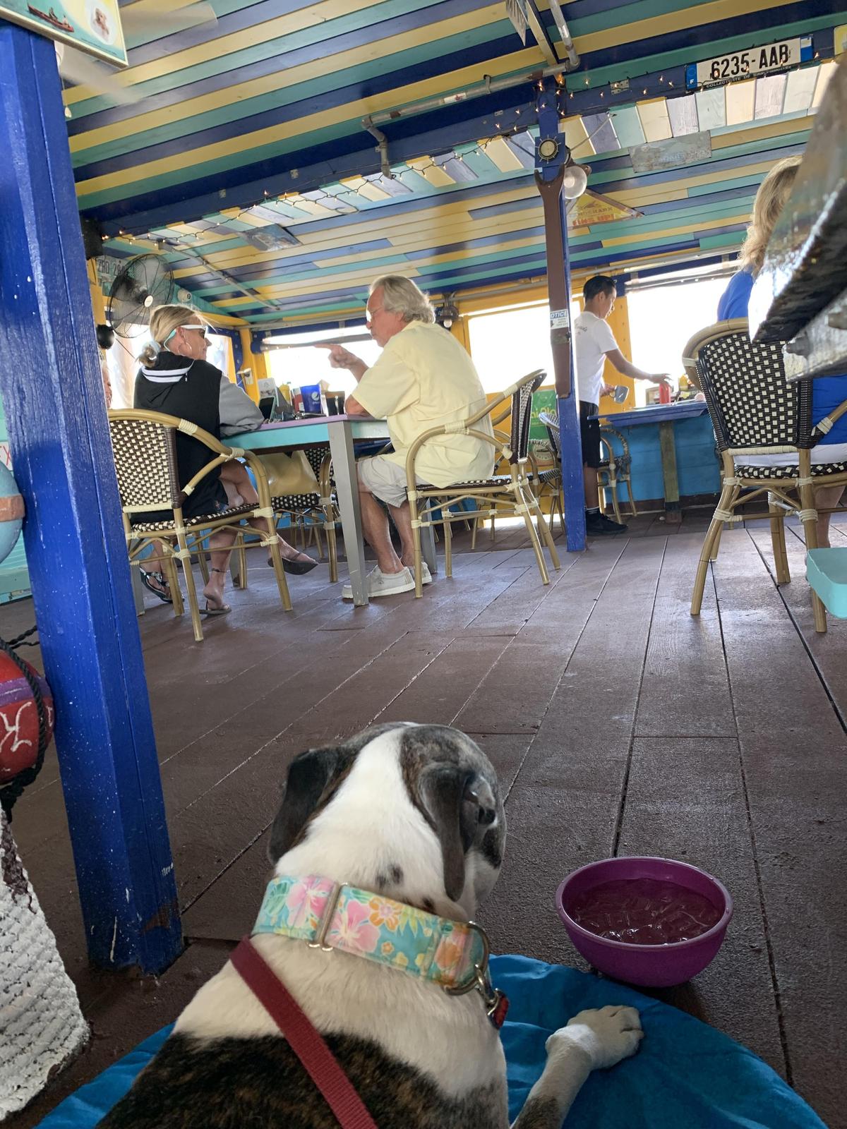 Porky's Bayside BBQ restaurant view 3