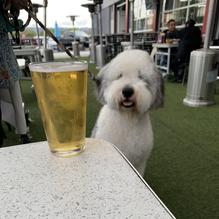 The Brews Hall restaurant view 2