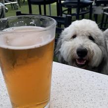 The Brews Hall restaurant view 1