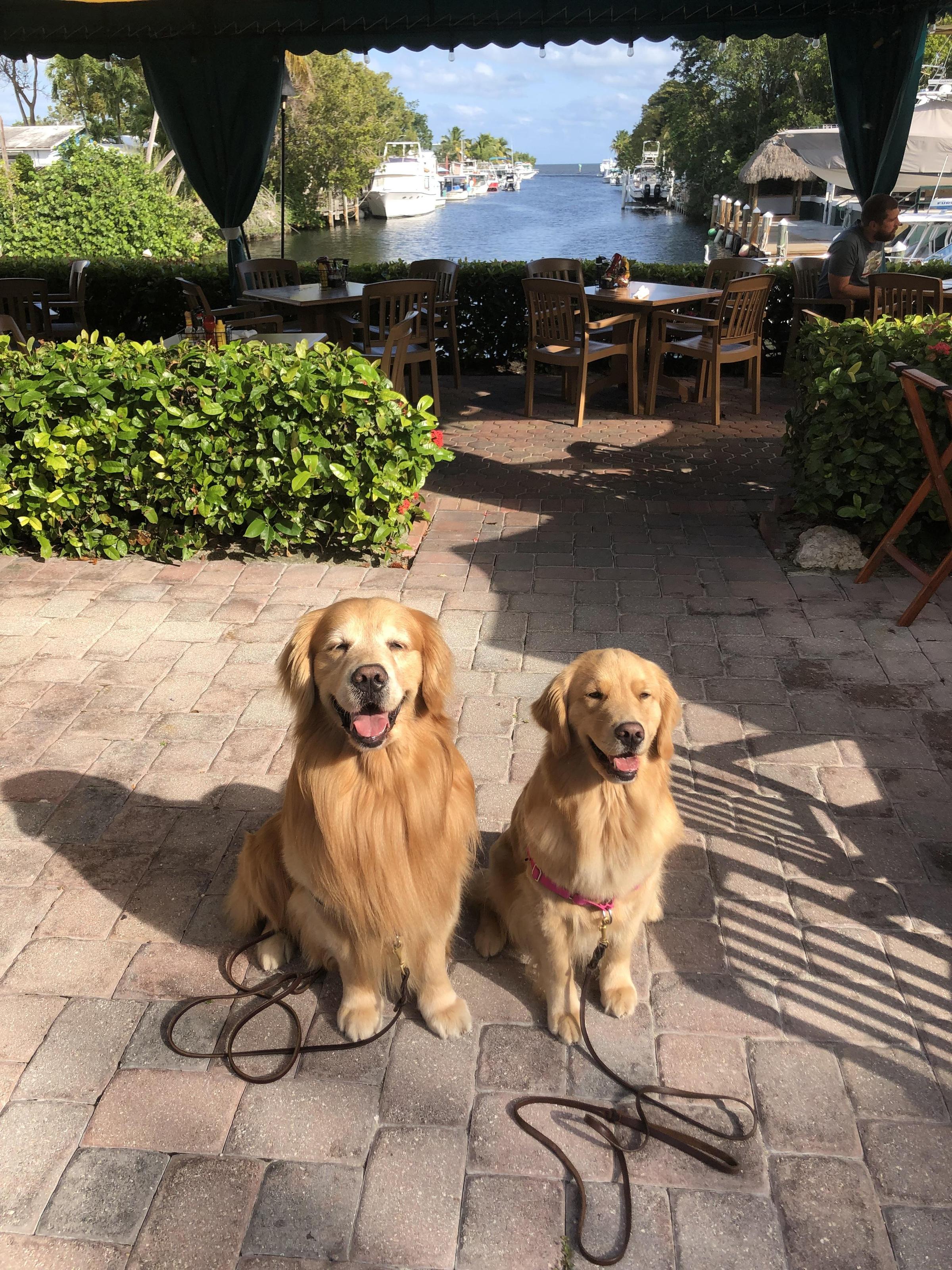 Dog Friendly Restaurants in Key Largo, FL BringFido