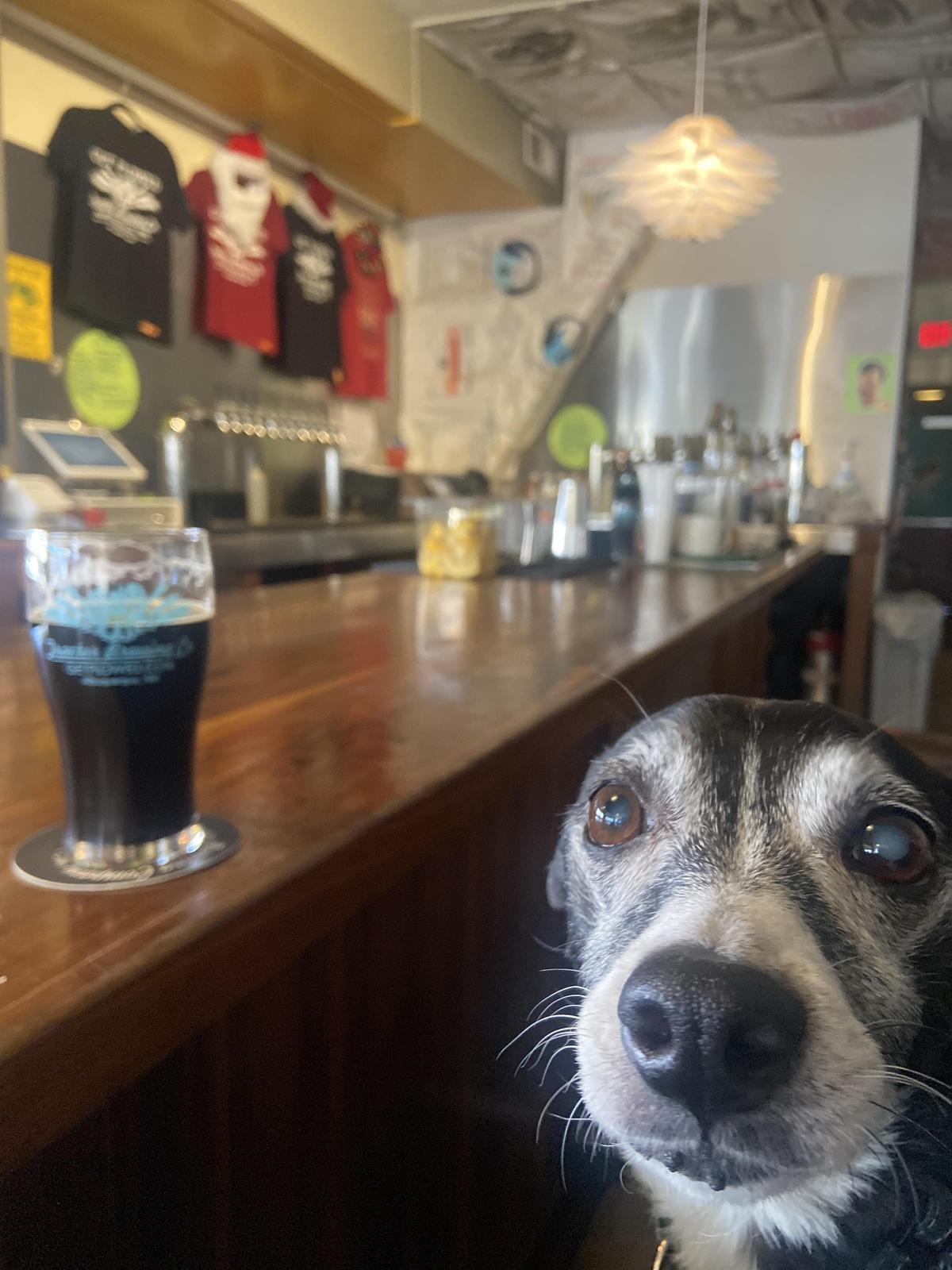 Tractor Brewing Company restaurant view 1