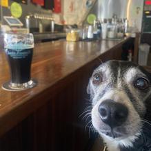 Tractor Brewing Company restaurant view 1