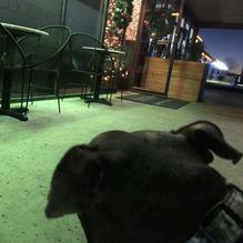 Coco.Miel Coco.Bar restaurant view 1