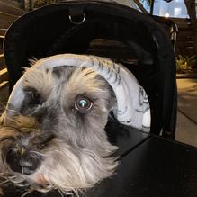 Embers Wood Fired Grill & Bar restaurant view 1