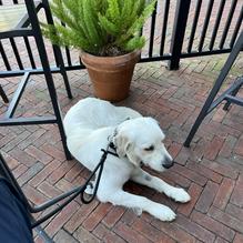 Rocco's Ristorante & Pizzeria restaurant view 1