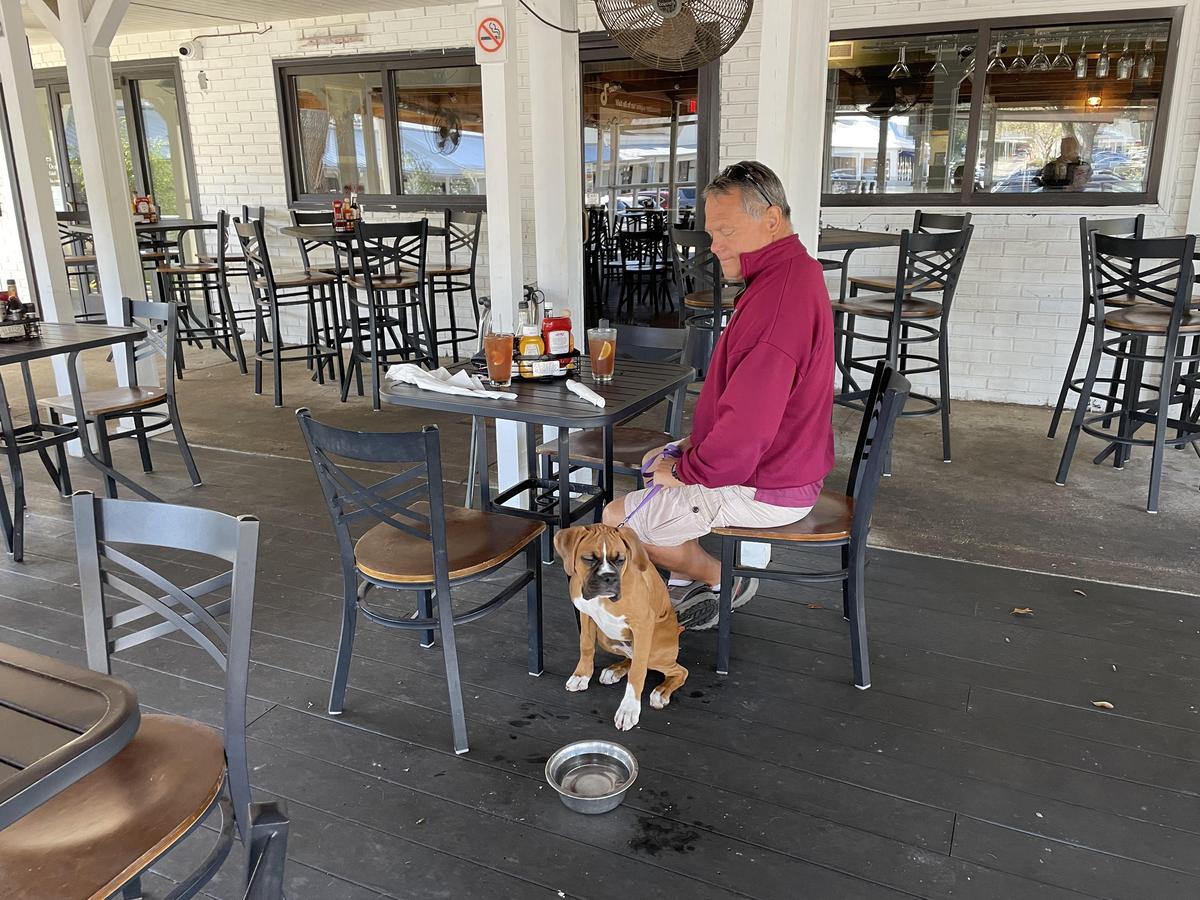 Horse & Hounds Restaurant restaurant view 1