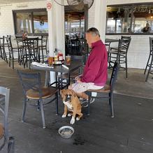 Horse & Hounds Restaurant restaurant view 1