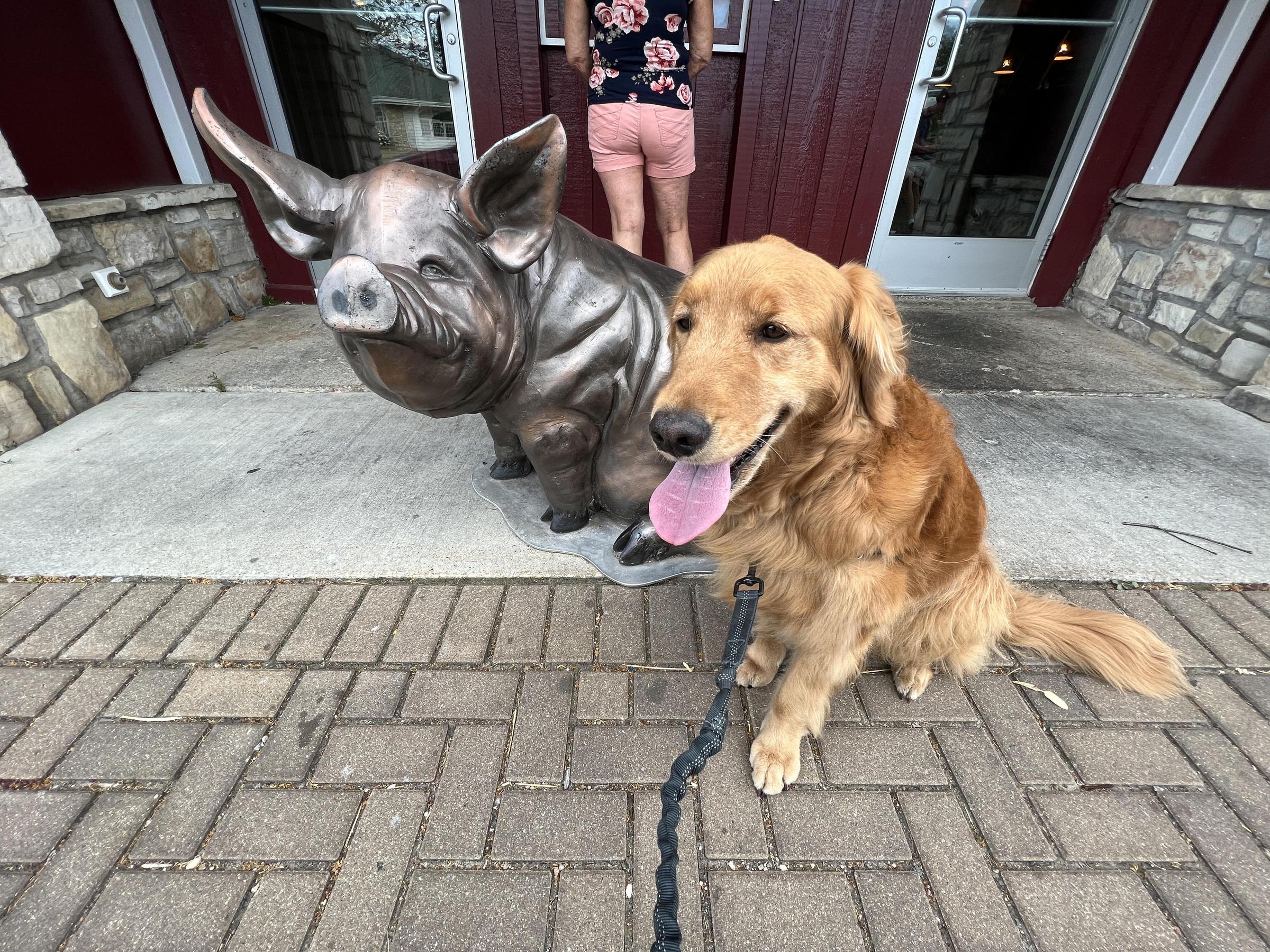 Pet Friendly Casey's BBQ and Smokehouse
