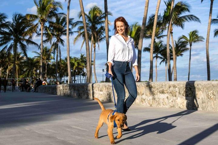 Woman walking dog in Florida boardwalk.